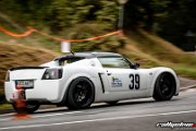 3. RENNSPORT REVIVAL ZOTZENBACH 2017 - BERGSLALOM - www.rallyelive.com