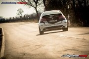 37. RALLYE SUEDLICHE WEINSTRASSE 2019 - www.rallyelive.com