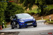 4. RENNSPORT-REVIVAL ZOTZENBACH - BERGSLALOM - www.rallyelive.com