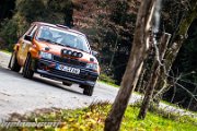 46.-nibelungenring-rallye-2013-rallyelive.com-0178.jpg