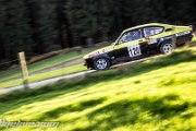 46.-nibelungenring-rallye-2013-rallyelive.com-0720.jpg