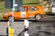 46.-nibelungenring-rallye-2013-rallyelive.com-9610.jpg