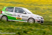 ADAC Hessen Rallye Vogelsberg 2014 - www.rallyelive.com