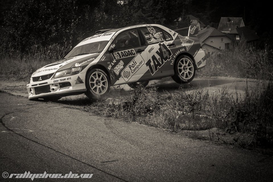 rallye deutschland 2012