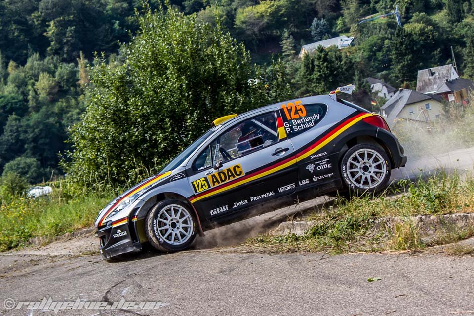 rallye deutschland 2012