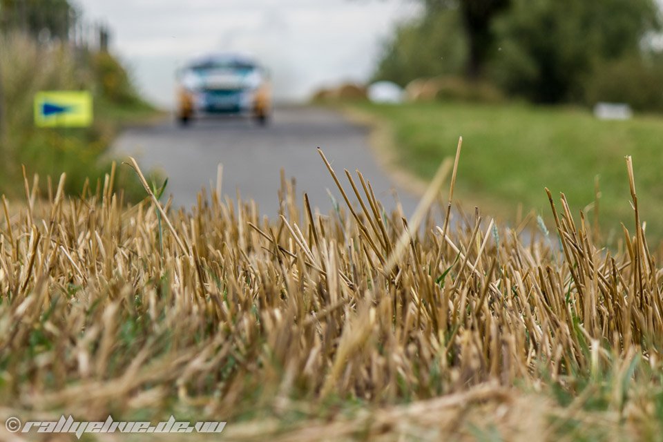 rallye deutschland 2012