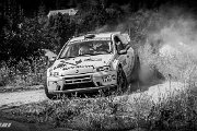 rallye deutschland 2012  j. hohlheimer / h.j. grimberg, fiat punto kitcar