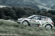 ADAC Rallye Deutschland 2013 - more pictures in better quality @ www.rallyelive.de.vu