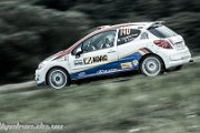 ADAC Rallye Deutschland 2013 - more pictures in better quality @ www.rallyelive.de.vu