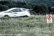 ADAC Rallye Deutschland 2013 - more pictures in better quality @ www.rallyelive.de.vu