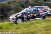 ADAC Rallye Deutschland 2013 - more pictures in better quality @ www.rallyelive.de.vu