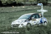 ADAC Rallye Deutschland 2013 - more pictures in better quality @ www.rallyelive.de.vu