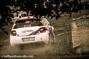 ADAC Rallye Deutschland 2013 - more pictures in better quality @ www.rallyelive.de.vu