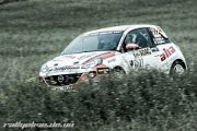 ADAC Rallye Deutschland 2013 - more pictures in better quality @ www.rallyelive.de.vu