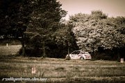 ADAC Rallye Deutschland 2013 - more pictures in better quality @ www.rallyelive.de.vu