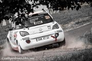 ADAC Rallye Deutschland 2013 - more pictures in better quality @ www.rallyelive.de.vu