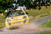 ADAC Rallye Deutschland 2013 - more pictures in better quality @ www.rallyelive.de.vu