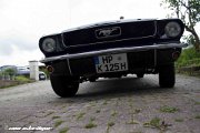 IMG 0474 : 289, bullitt, car, eleanore, ford, gt350, gt500, hdr, high dynamic range, mcqueen, muscle, muscle car, mustang, racing, shelby, steve, v8