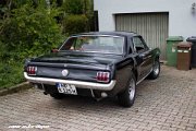 IMG 0479 : 289, bullitt, car, eleanore, ford, gt350, gt500, hdr, high dynamic range, mcqueen, muscle, muscle car, mustang, racing, shelby, steve, v8