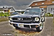 mustangHDR : 289, bullitt, car, eleanore, ford, gt350, gt500, hdr, high dynamic range, mcqueen, muscle, muscle car, mustang, racing, shelby, steve, v8