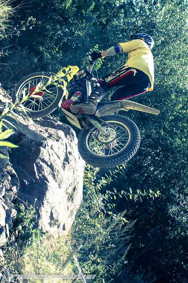 trial erlenbach