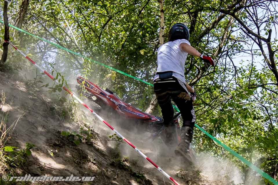 trial erlenbach