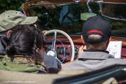 ims-odenwald-classic-2012-5962.jpg