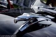 ims-odenwald-classic-2012-6072.jpg