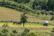 23. IMS Odenwald-Classic 2014 - www.smk-photography.de