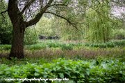 IMG 1685 : Action, Animal, Architecture, Automotive, Bild, Canon, Cars, DSLR, Fisch, Fish, Foto, Fotografie, Mode, Nature, Panorama, Photography, Sascha Kraeger, Shift, Street, Tilt, Wasser, Water, hdr, high dynamic range, landscape, motorsport, rallye, smk-photography.de, smk-photography.de www.smk-photography.de Sascha Kraeger Fotografie Photography Foto Bild DSLR Canon HDR High Dynamic Range Tilt Shift Action Landscape Nature Animal Architecture Street Mode Cars Motorsport Rallye Automotive Panorama Fish Water Wasser Fisch, www.smk-photography.de