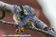 IMG 9545 : Action, Animal, Architecture, Automotive, Bild, Canon, Cars, DSLR, Fisch, Fish, Foto, Fotografie, Mode, Nature, Panorama, Photography, Sascha Kraeger, Shift, Street, Tilt, Wasser, Water, hdr, high dynamic range, landscape, motorsport, rallye, smk-photography.de, smk-photography.de www.smk-photography.de Sascha Kraeger Fotografie Photography Foto Bild DSLR Canon HDR High Dynamic Range Tilt Shift Action Landscape Nature Animal Architecture Street Mode Cars Motorsport Rallye Automotive Panorama Fish Water Wasser Fisch, www.smk-photography.de