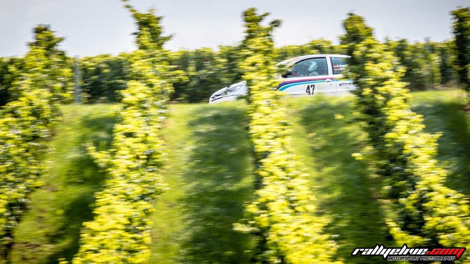 15. ADAC/MSC RALLYE ALZEY 2017 - www.rallyelive.com