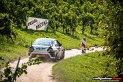 15. ADAC/MSC RALLYE ALZEY 2017 - www.rallyelive.com