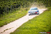 15. ADAC/MSC RALLYE ALZEY 2017 - www.rallyelive.com