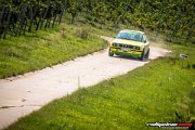 15. ADAC/MSC RALLYE ALZEY 2017 - www.rallyelive.com