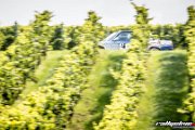 15. ADAC/MSC RALLYE ALZEY 2017 - www.rallyelive.com