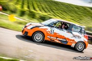 15. ADAC/MSC RALLYE ALZEY 2017 - www.rallyelive.com