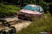 15. ADAC/MSC RALLYE ALZEY 2017 - www.rallyelive.com