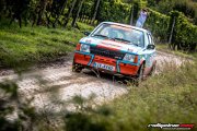 15. ADAC/MSC RALLYE ALZEY 2017 - www.rallyelive.com