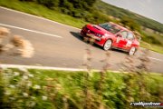 15. ADAC/MSC RALLYE ALZEY 2017 - www.rallyelive.com