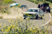 20.-adac-grabfeldrallye-2013-rallyelive.de.vu-8973.jpg