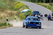 20.-adac-grabfeldrallye-2013-rallyelive.de.vu-8986.jpg