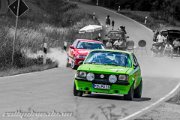 20.-adac-grabfeldrallye-2013-rallyelive.de.vu-9094.jpg