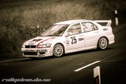 20.-adac-grabfeldrallye-2013-rallyelive.de.vu-9299.jpg