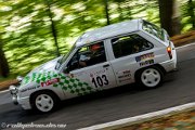 nibelungen-ring-rallye-2012-3533.jpg