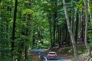 nibelungen-ring-rallye-2012-3544.jpg