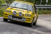 nibelungen-ring-rallye-2012-3890.jpg