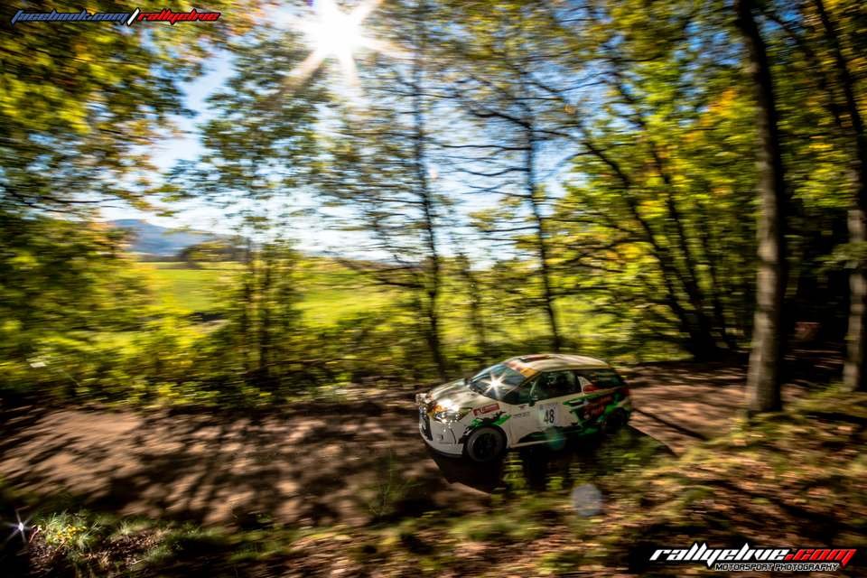 50. NIBELUNGENRING-RALLYE 2017 - WP1 - www.rallyelive.com