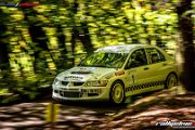 50.-nibelungenring-rallye-2017-rallyelive.com-0321.jpg