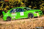 50. NIBELUNGENRING-RALLYE 2017 - WP1 - www.rallyelive.com